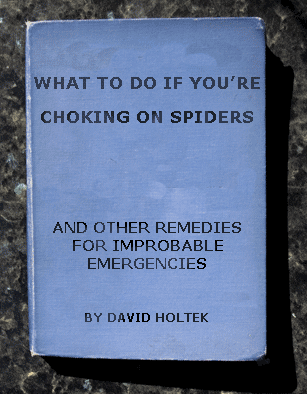 choking on spiders david holtek
