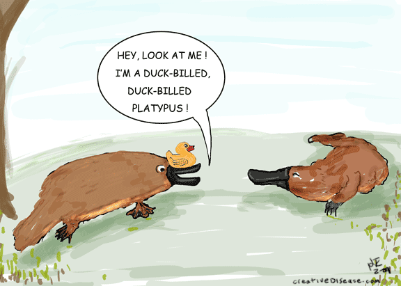 duck-billed platypus cartoon holtek